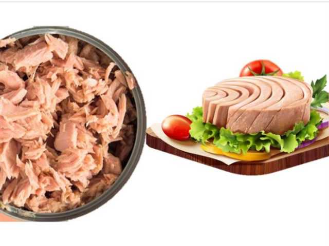 ارتفاع واردات مصر من التونة لـ15 مليون دولار في شهر واحد فقط