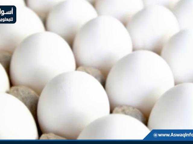 سعر كرتونة البيض اليوم للمستهلك