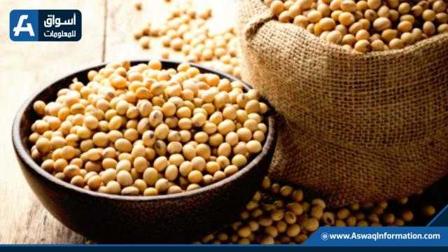 بذرة الصويا تبدأ تداولات الأربعاء على ارتفاع