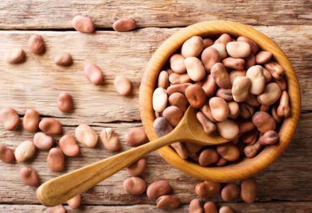 استقرار في أسعار الفول اليوم لدى المستهلك