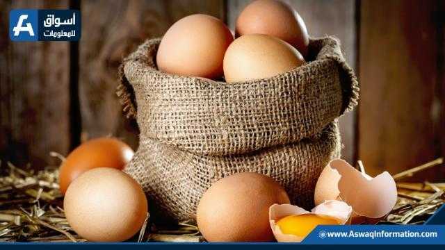 تعرف على سعر البيض اليوم الإثنين بالمزرعة