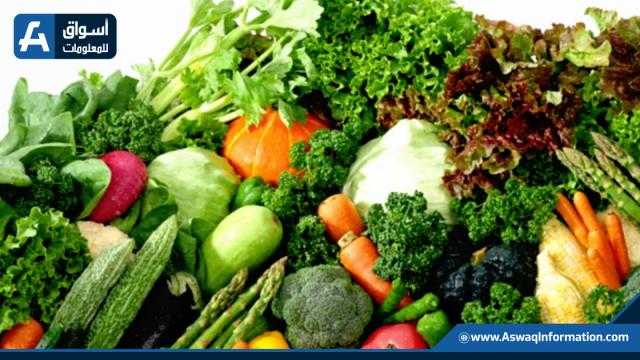 باستثناء بعض أصناف.. ثبات في أسعار الخضروات اليوم للتاجر