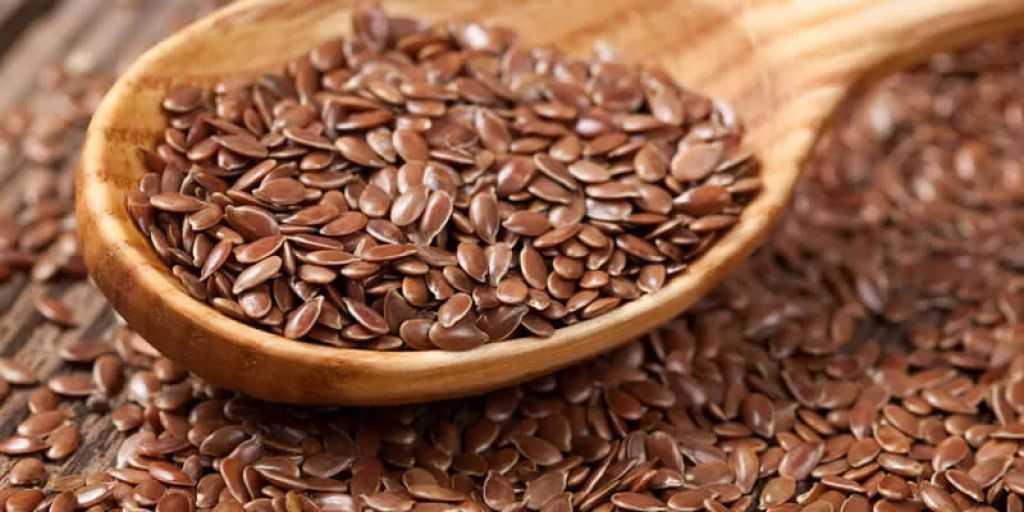 تمديد رسوم تصدير بذور الكتان الروسي حتى أغسطس 2028