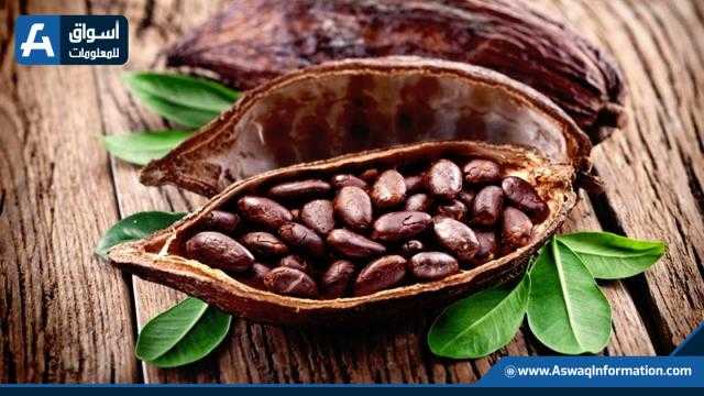 أسعار الكاكاو العالمية تواصل تراجعها مع زيادة الإمدادات