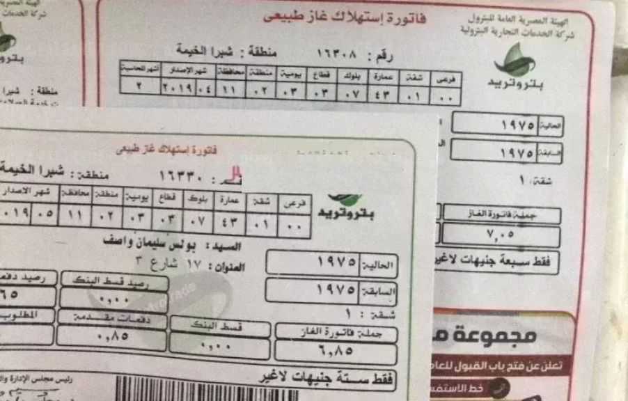 طريقة سداد فاتورة الغاز المنزلي لشهر مارس 2026.. إليك الخطوات