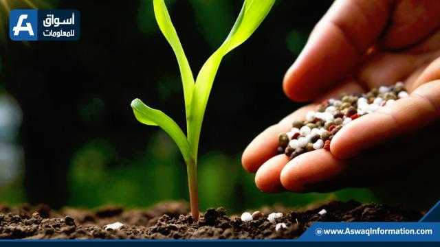 أسعار الأسمدة الفوسفاتية تستقر بالسوق المحلية اليوم
