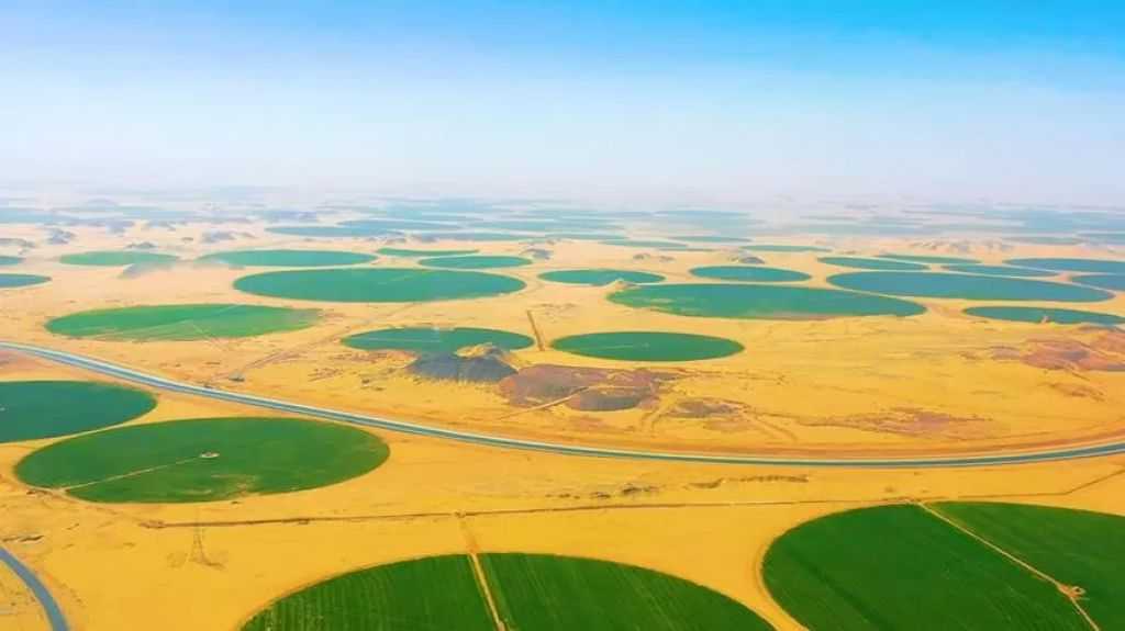 مجلس الوزراء: جار التعاقد مع 147 مستفيدًا من مبادرة ”مزرعتك في مصر” على مساحة 7600 فدان