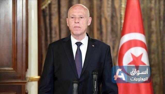 الرئيس التونسي يبحث مع رئيسة الحكومة الوضع العام في البلاد