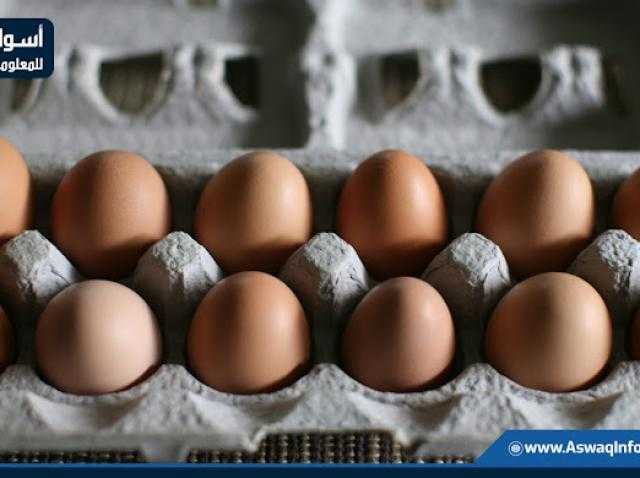 الأبيض بـ45.5 جنيه.. أسعار البيض اليوم الأربعاء بالمزرعة