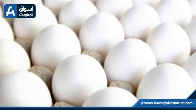 ارتفاع الأبيض.. أسعار البيض اليوم الثلاثاء بالمزرعة