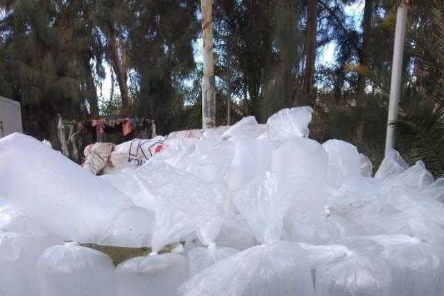 ضبط 16 ألف وحدة زريعة بلطي على سيارة نقل في البرلس