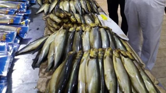 ضبط 8 أطنان رنجة و35.7 طن لحوم غير صالحة بالغربية
