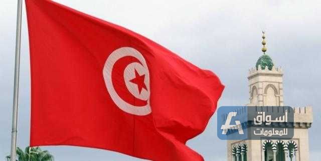 «الاقتصاد التونسي» يتابع إجراءات الحصول على دعم بـ500 مليون دولار لتطوير النقل البحري