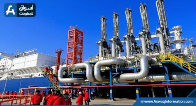 بحلول نهاية 2022..هولندا تستهدف إنهاء استخدام الوقود الأحفوري الروسي