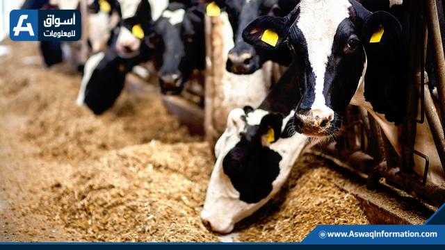 طن الكسب يرتفع 100 جنيه.. أسعار الأعلاف اليوم في الأسواق