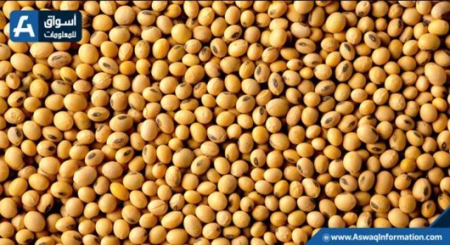 بذرة الصويا تقفز بأكثر من 32 سنتًا بختام تداولات الجمعة في شيكاغو