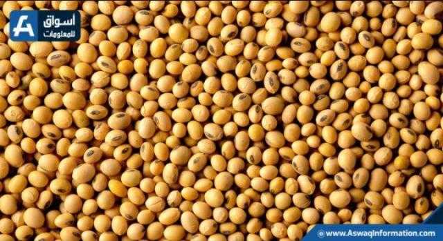 39 سنتًا ارتفاع في عقود بذرة الصويا عند الإغلاق