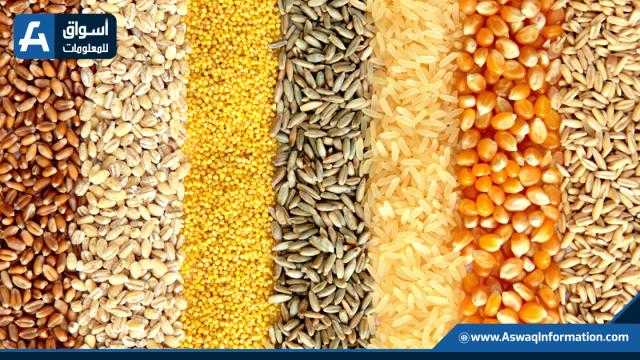 انكماش صادرات أوكرانيا من الحبوب الغذائية خلال مايو 2022