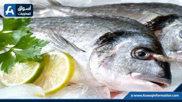الماكريل بـ55 جنيهًا.. أسعار الأسماك اليوم الأربعاء للمستهلك