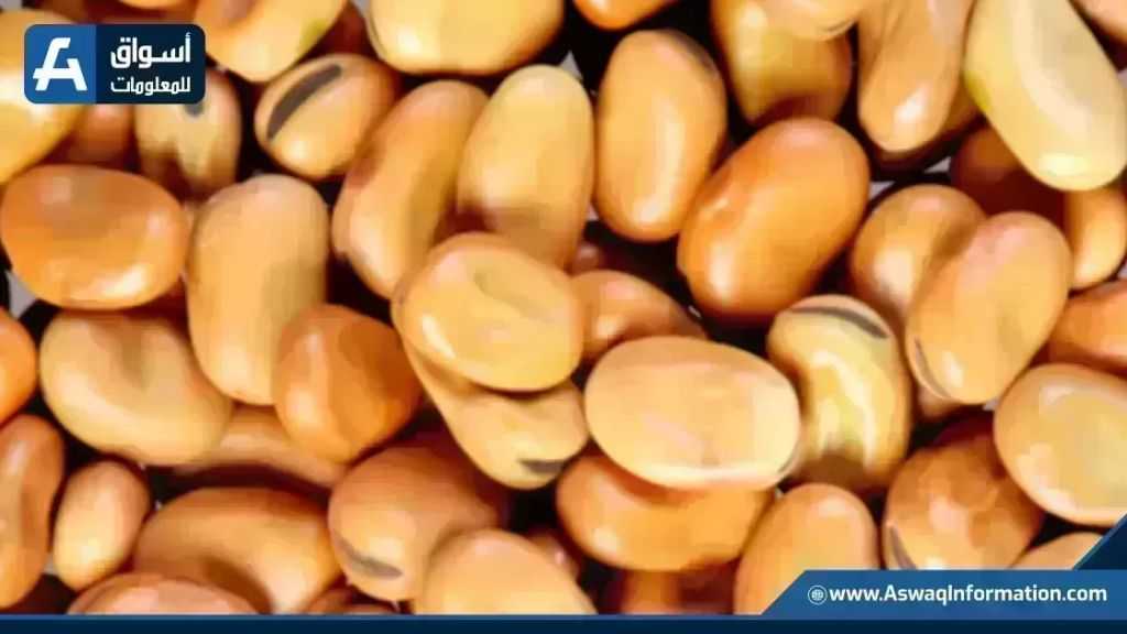 سعر الفول اليوم الخميس عند التاجر.. أردب الفول البلدي بكام