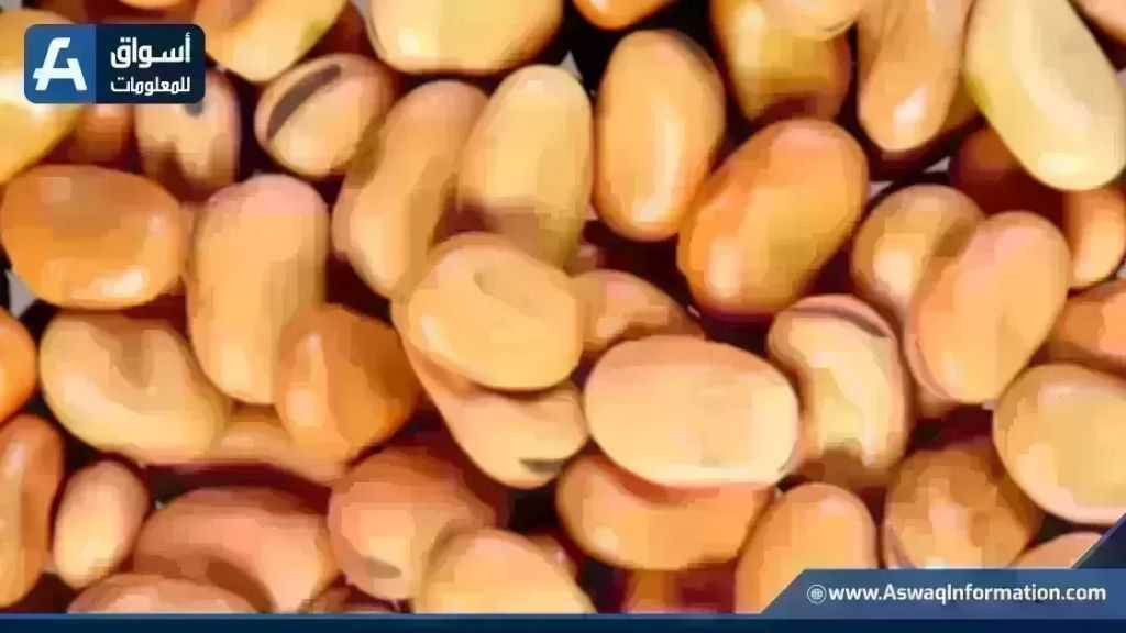 سعر الفول ثاني أيام عيد الأضحى عند التاجر.. أردب الفول البلدي بكام
