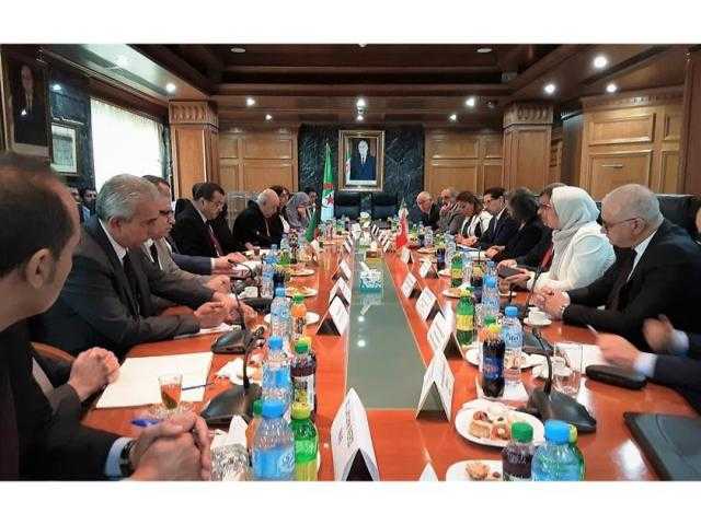 الجزائر وتونس تبحثان التعاون المشترك في مجالات عدة منها الطاقة المتجددة