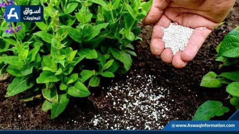 ارتفاع أسعار الأسمدة اليوم.. 300 لليوريا و200 للنترات