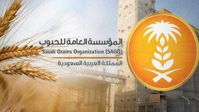 المؤسسة العامة للحبوب بالسعودية تعلن صرف مستحقات الدفعة الثانية من مزارعي القمح المحلي
