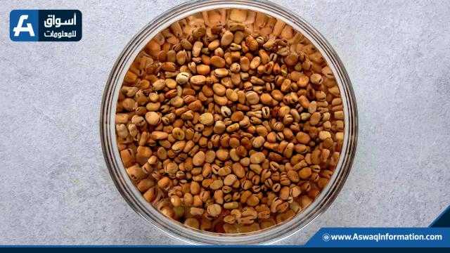 سعر الفول اليوم الخميس للمستهلك.. «طبق الفول بكام»