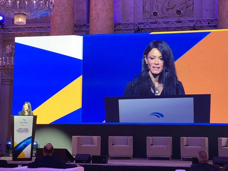 «المشاط»: منصة التعاون التنسيقي المشترك ساهمت في تكامل جهود شركاء التنمية