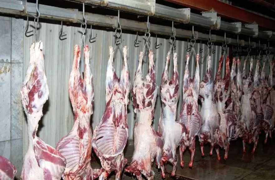 ”الزراعة”: استعداد 497 مجزرًا بالمحافظات لاستقبال الأضاحي طوال أيام العيد بالمجان