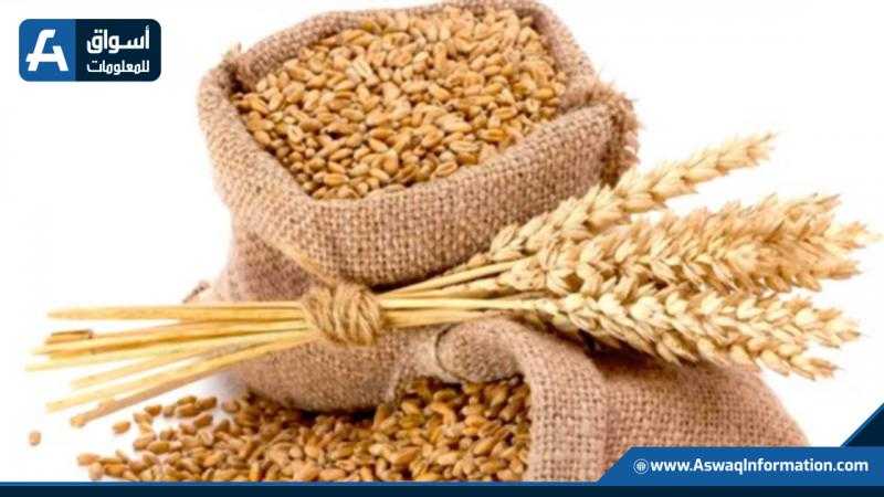 «السلع التموينية» تعلن عن ممارسة دولية لشراء القمح