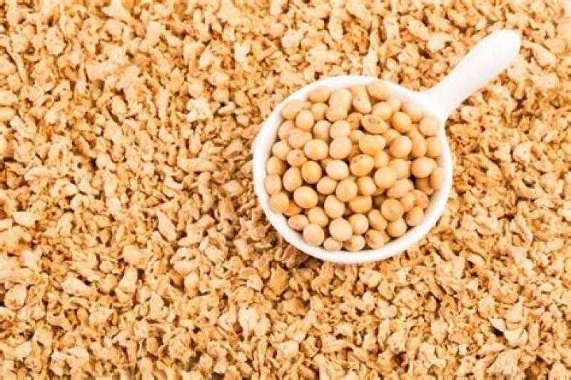 هبوط مستمر لعقود بذرة الصويا الآجلة بمستهل تعاملات بورصة شيكاغو