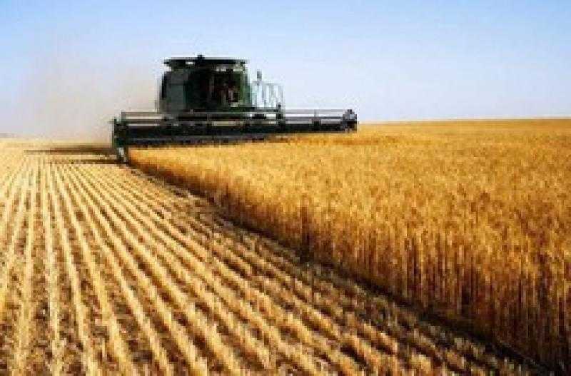 سعر القمح اليوم يواصل الصعود عند نهاية تداولات بورصة شيكاغو للحبوب