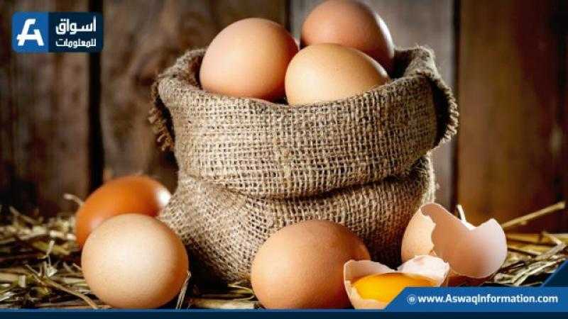 ارتفاع أسعار البيض اليوم الأحد للمستهلك.. «بقت بكام»