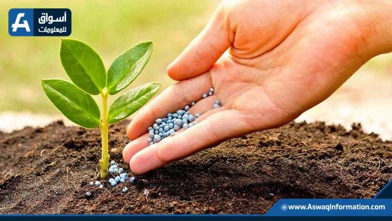 أسعار الأسمدة الزراعية اليوم السبت.. ثبات اليوريا