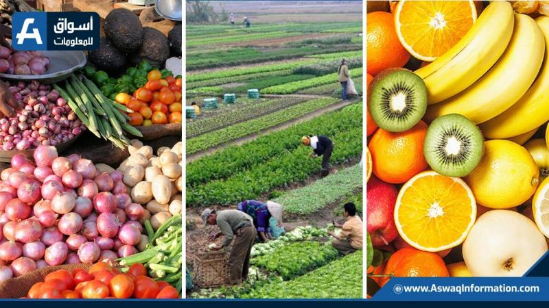 مؤشر أسواق للسلع يرصد اسعار الفاكهة اليوم الأحد للمستهلك