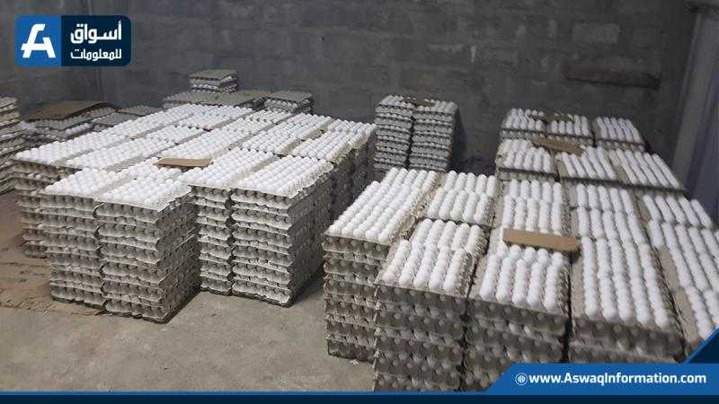 تراجع قوي في أسعار طبق البيض بالمزارع.. البيض الأبيض بـ 125 جنيهًا