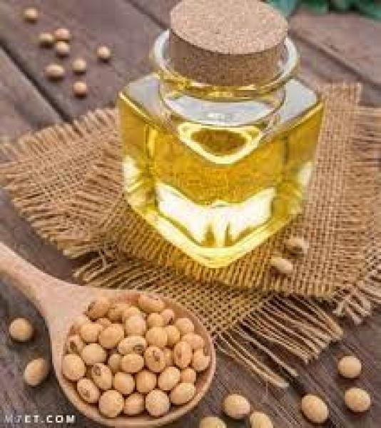 ارتفاع أسعار عقود زيت الصويا بمستهل تداولات بورصة شيكاغو