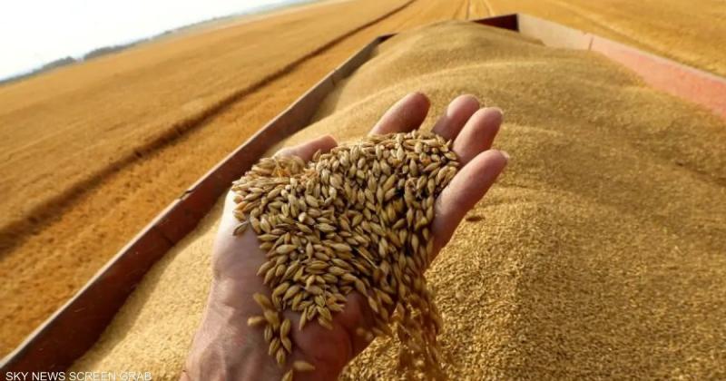 العراق يخطط لزراعة 750 ألف هكتار قمح لموسم 2022-2023