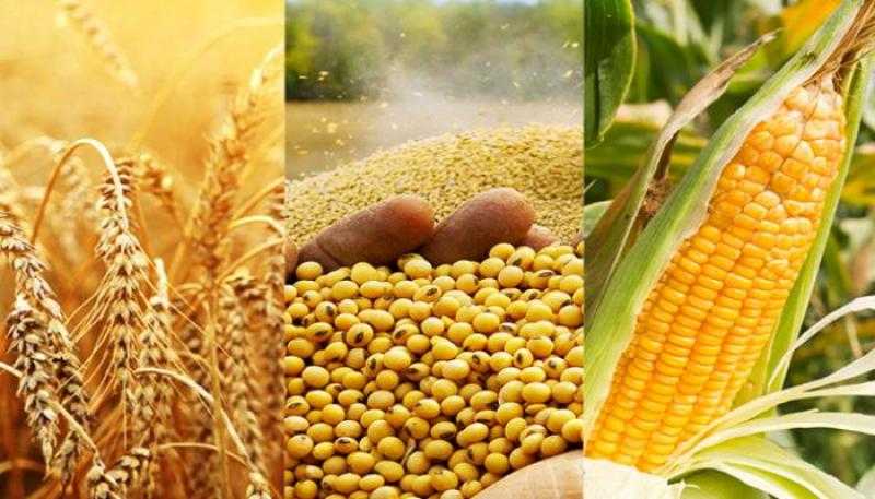 الجفاف يهدد حجم المساحة المزروعة خلال الموسم الحالي في الأرجنتين