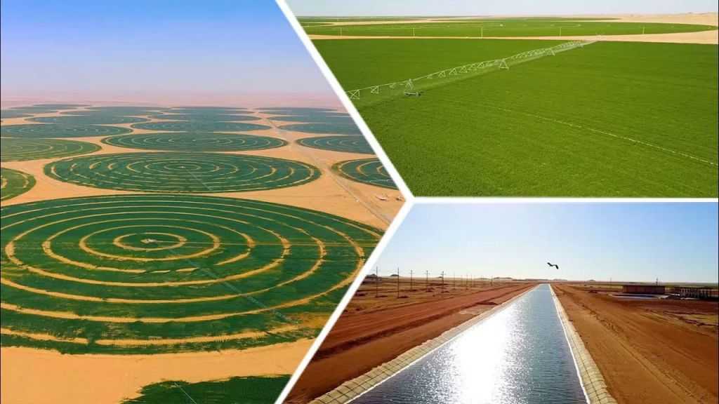 ”الزراعة”: تحديث نظم الري على مساحة 2.8 مليون فدان رفع الإنتاجية 20%