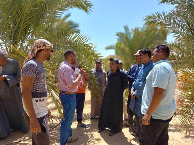 «الزراعة» تستعرض تقريرًا حول أنشطة المعمل المركزي للنخيل وفروعه بالمحافظات