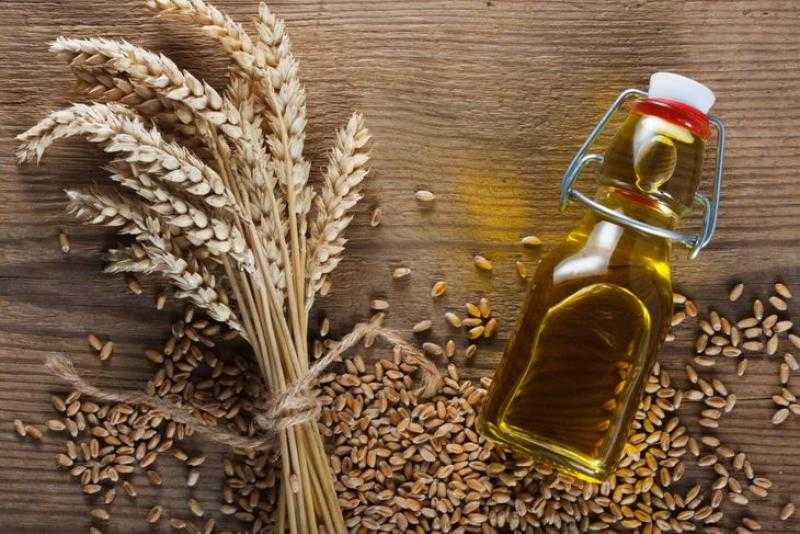 بيلاروسيا تحظر تصدير البذور الزيتية والحبوب لمدة 6 أشهر