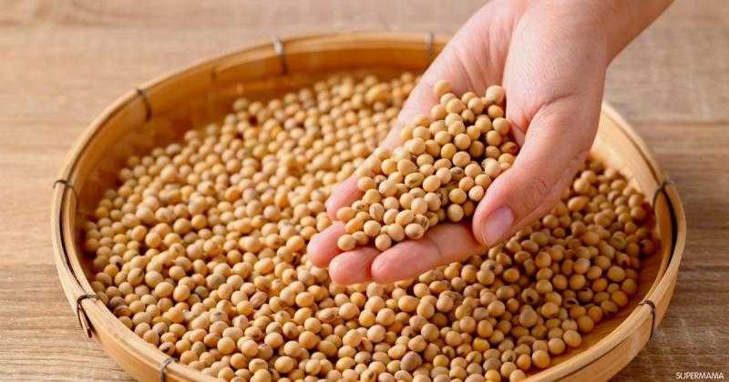 ارتفاع محدود في أسعار بذرة الصويا عالميا اليوم الثلاثاء