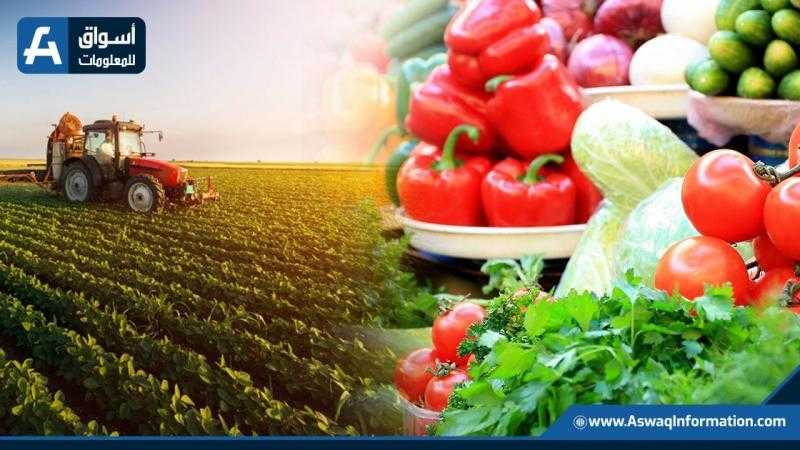 أسعار الخضراوات اليوم للجملة.. 7 جنيهات أقصى سعر لـ كيلو البصل