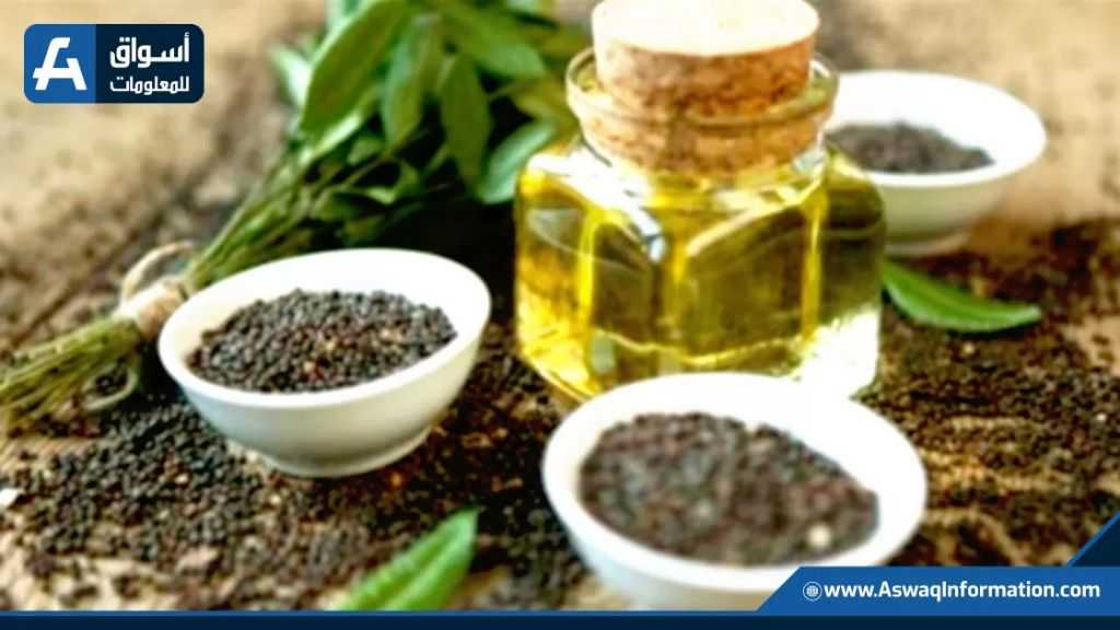 استقرار صادرات الكانولا الأوكرانية واستعداد لاتفاقات مستقبلية