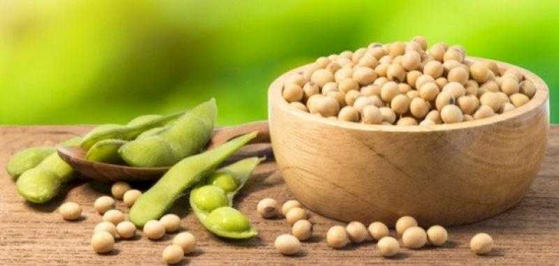 عقود الصويا الآجلة تتجه للارتفاع متأثرة بتراجع عمليات التصدير