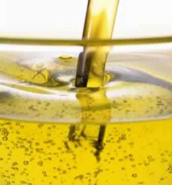 استقرار عقود زيت الأولين بختام الجلسة الصباحية اليوم الخميس