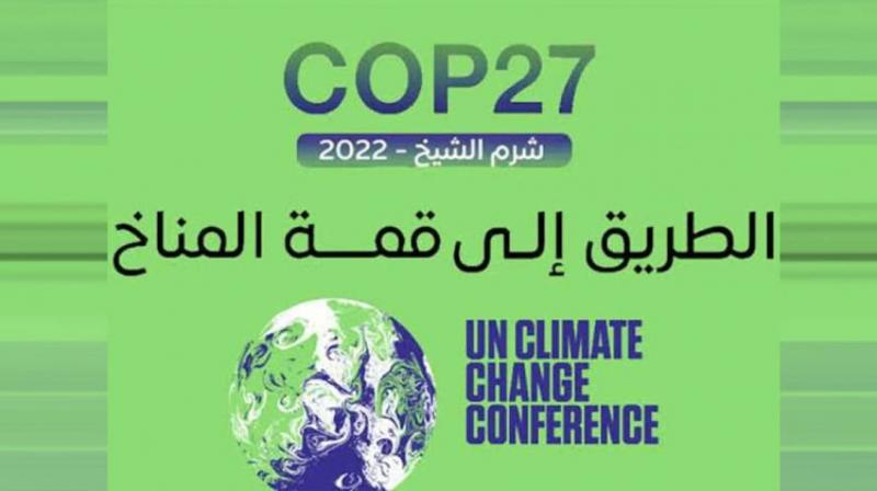 «المالية» تصدر دليل الإجراءات الجمركية المبسطة لمؤتمر المناخ COP-27